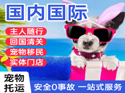 景德镇罗家空运国际宠物托运 【国